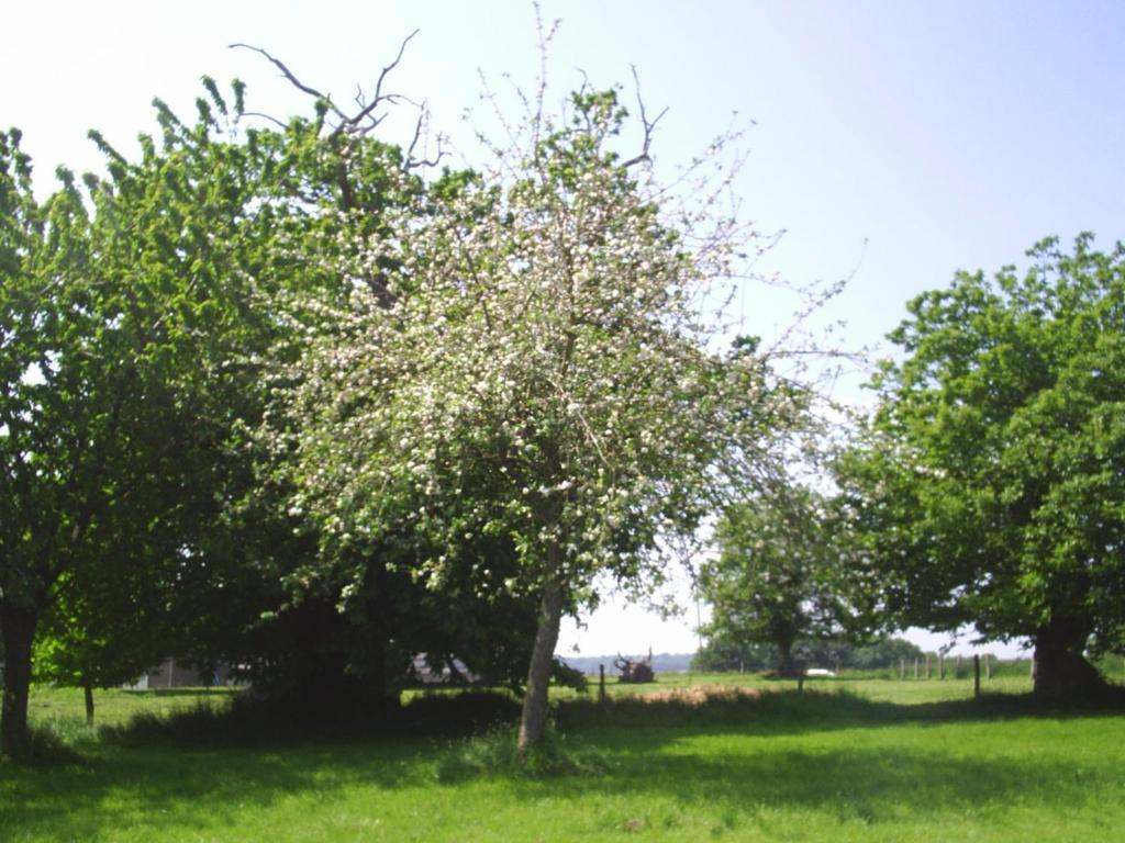 蜂蜜果园农场住宿加早餐旅馆 Vessey 外观 照片