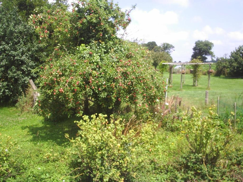蜂蜜果园农场住宿加早餐旅馆 Vessey 外观 照片