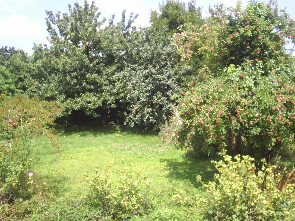 蜂蜜果园农场住宿加早餐旅馆 Vessey 外观 照片